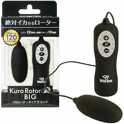 �N�����[�^�[�@�^�C�v�q�@�a�h�f