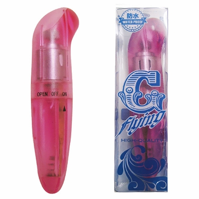 �f�@�������������i�W�[�t���C���O�j�@�s���N