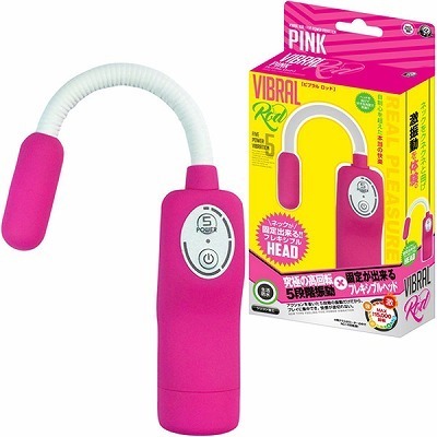 �r�u�����@���b�h�@�i�s���N�j