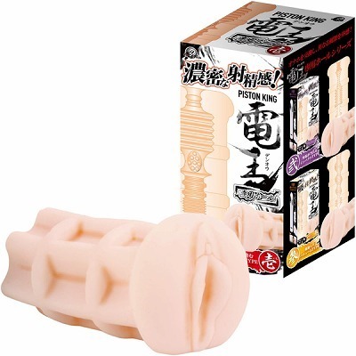 �s�X�g���L���O�d���@��p�z�[���@�i��j