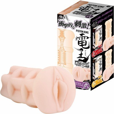 �s�X�g���L���O�d���@��p�z�[���@�i��j