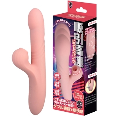 �z�������s�X�g���o�C�u