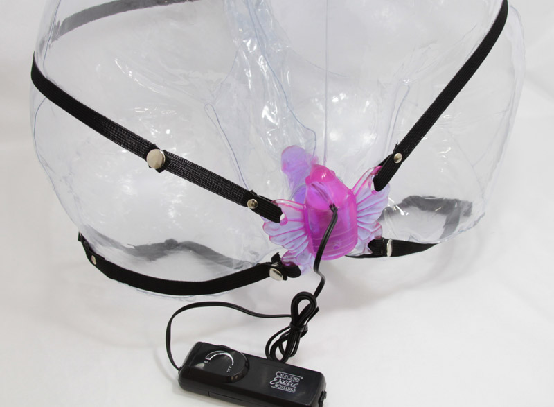 �r�[�i�X�y�j�X