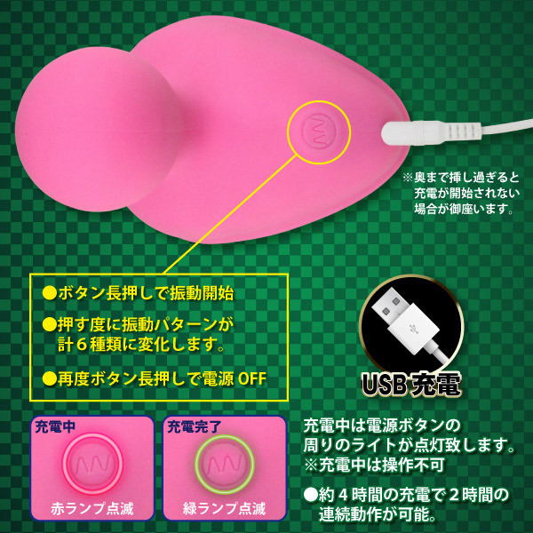 �V�[�N���b�g�K�[�f���@�i�y�^���j