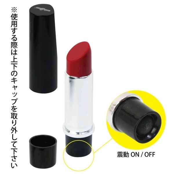 �k�n�u�d�@�r�s�h�b�j�i���u�X�e�B�b�N�j