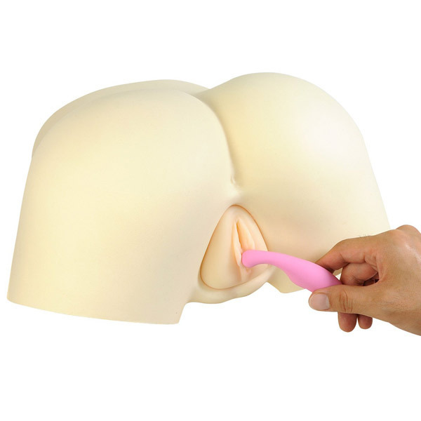 �v�������@�i�s���N�j