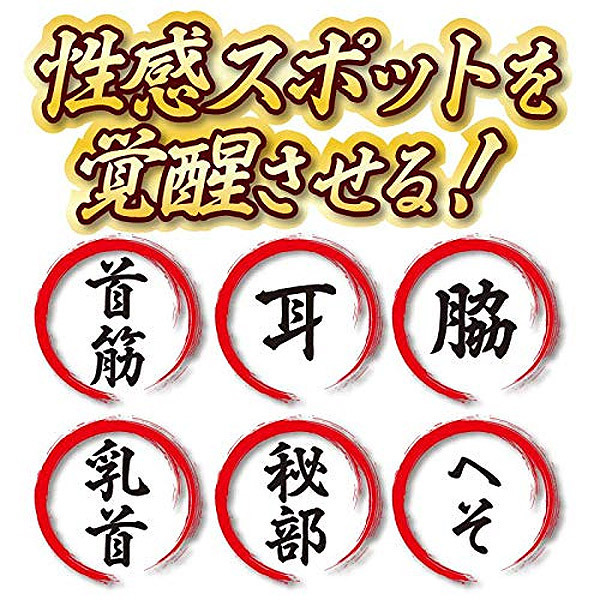 �d���͂������@�i�V�����p���S�[���h�j