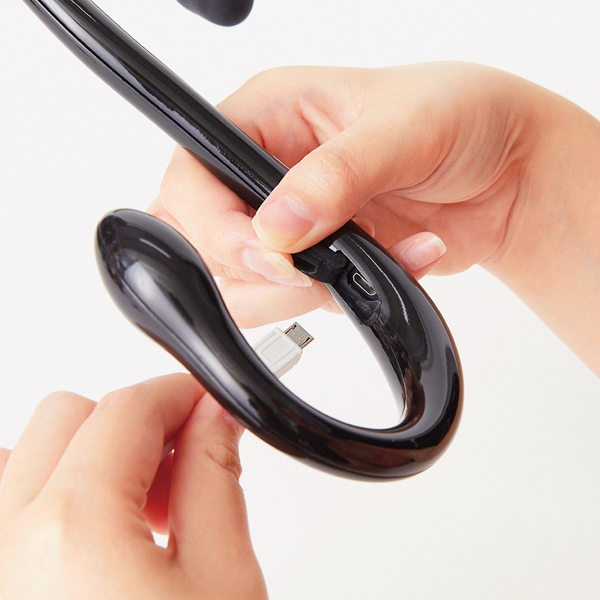 �a���������@�r�������@�i�s���N�j