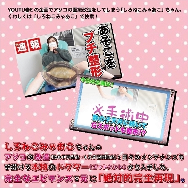 �I�E���E�i��������@��������B�@�i����˂��݂Ⴀ���j