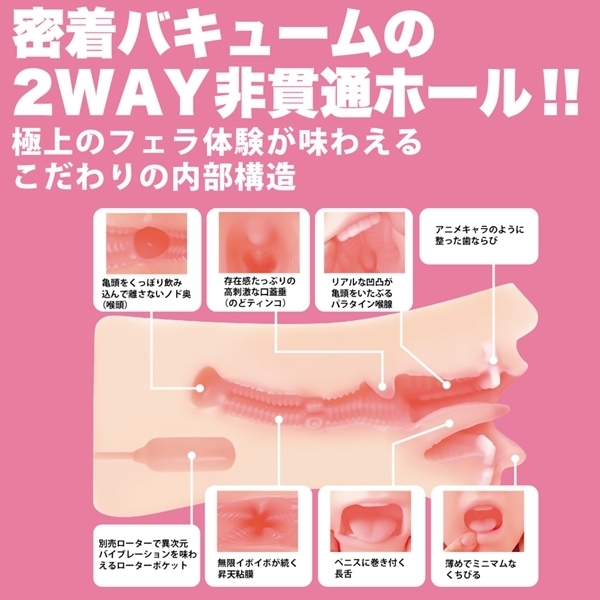 �_�t�F���@�N���V�b�N�@�Ėڋ��@�i�蓮�j