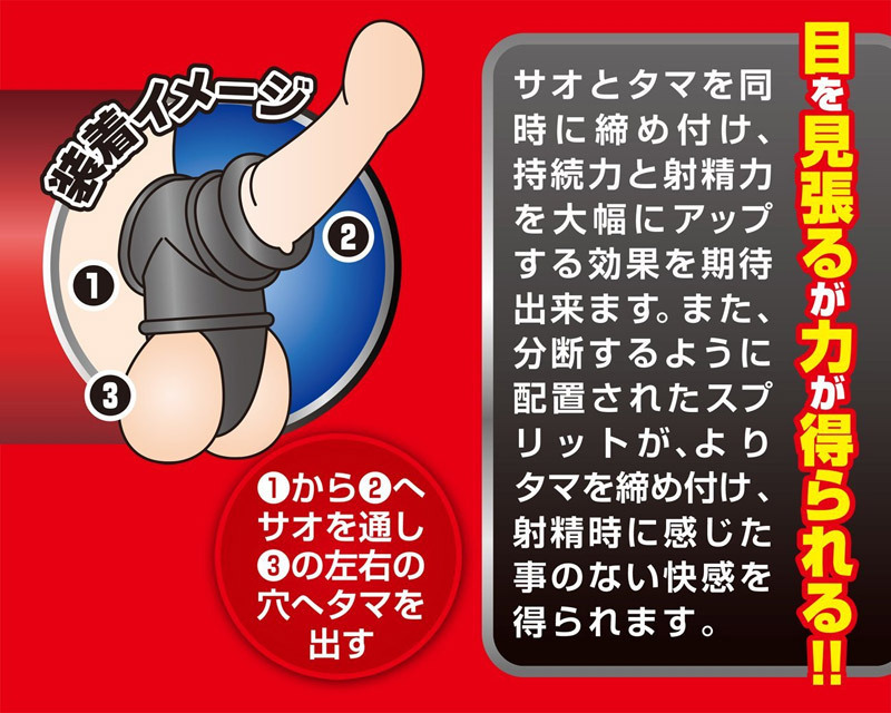 �q�h�j�h�l�`�q�t�@�|�͊ہ|�@�i�M�A�Z�J���h�j