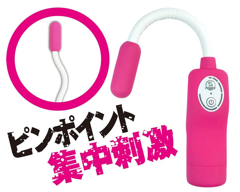 �r�u�����@���b�h�@�i�s���N�j