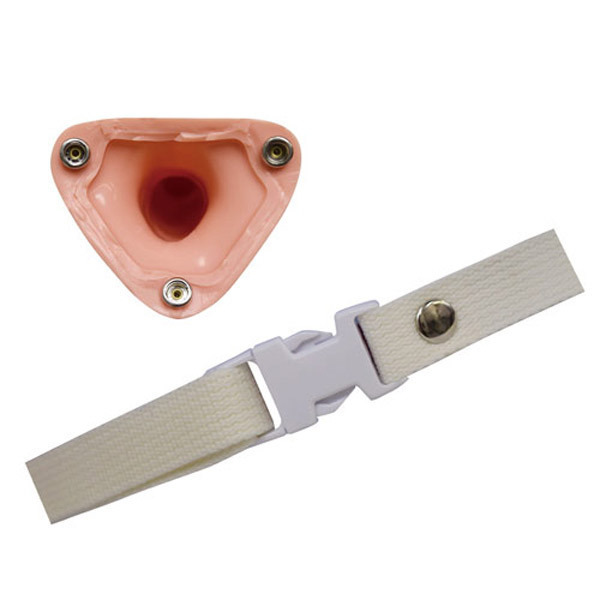 �`�����@�i���V���y�j�o���^�C�v�j�@�����