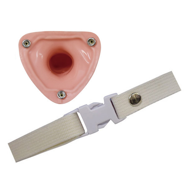 �`�����@�i���V���y�j�o���^�C�v�j�@�ٌc