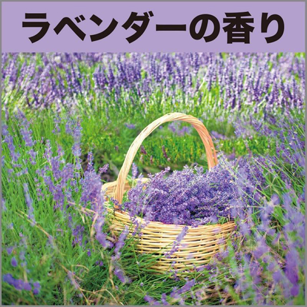 �g�C���̏��L�̓X�v���[�@���x���_�[