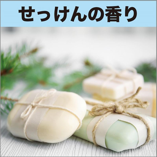 �������̏��L�́@��������