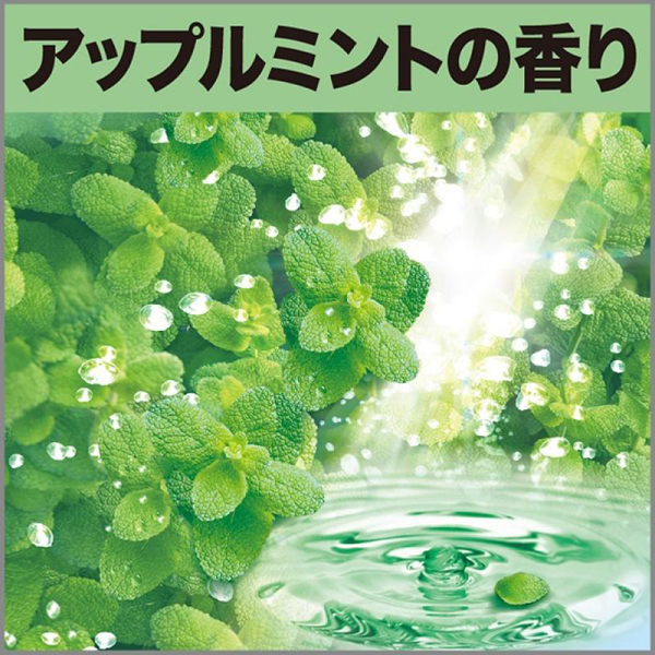 �g�C���̏��L�́@�A�b�v���~���g