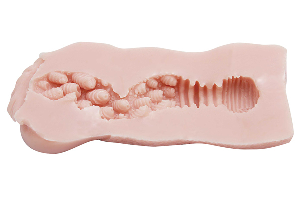 ���낱�ف[��@�i�m�[�}���j