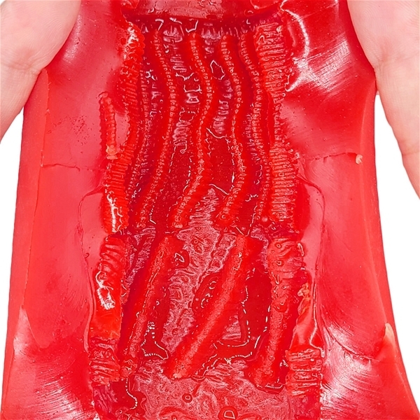 ���b�h�h���S���@�v�T�C�N����