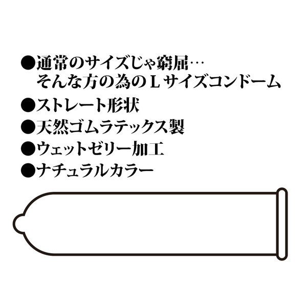 ���b�`�Ɩ��p�P�S�S����@�i�k�T�C�Y�j