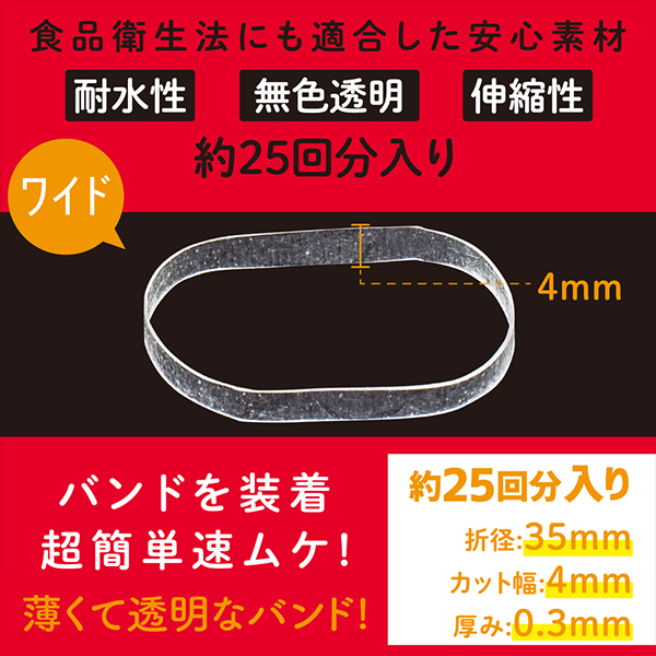 �Y���ނ��[��@�o���h�@�i���C�h�j