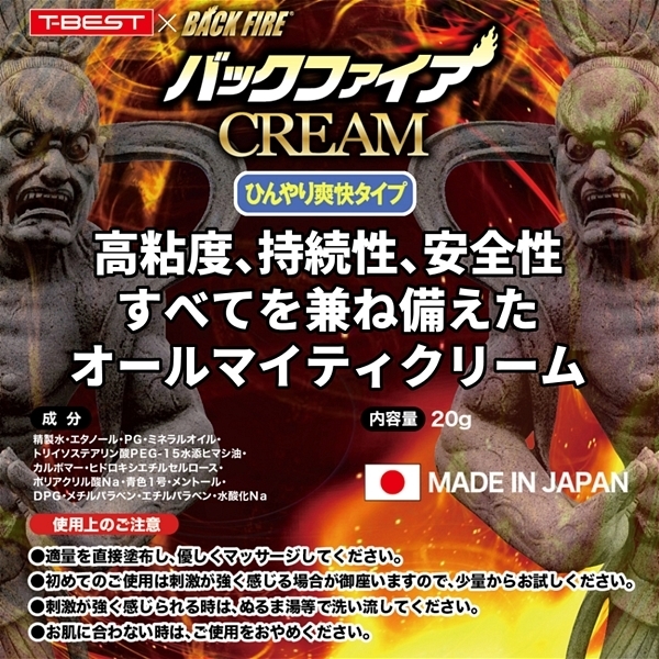 �o�b�N�t�@�C�A�[�@�b�q�d�`�l�@�i�Ђ���u���^�C�v�j�@�Q�O��